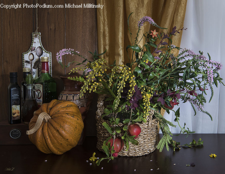 Floral Design, Flower, Flower Arrangement, Flower Bouquet, Ikebana, Plant, Potted Plant