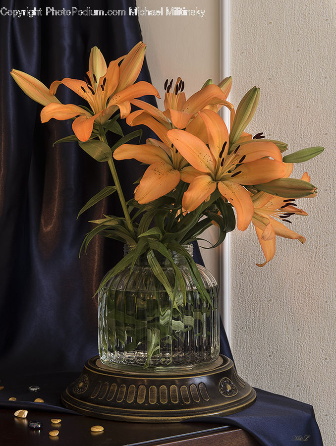 Flora, Flower, Plant, Treasure Flower, Flower Arrangement, Flower Bouquet, Ikebana