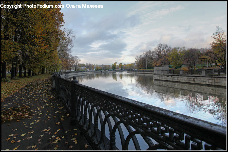 Boardwalk, Deck, Path, Sidewalk, Walkway, Water, Landscape