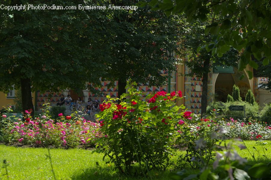 Garden, Gardening, Yard, Building, Cottage, Housing, Backyard
