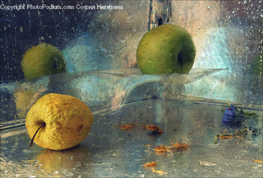 Fruit, Papaya, Apple, Alcyonacea, Brain Coral, Coral Reef, Invertebrate
