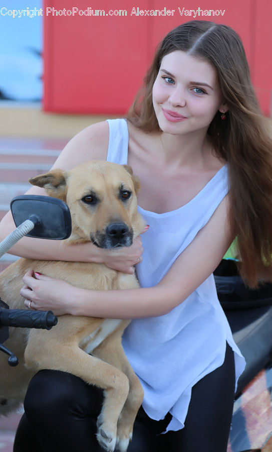 People, Person, Human, Animal, Canine, Dog, Mammal
