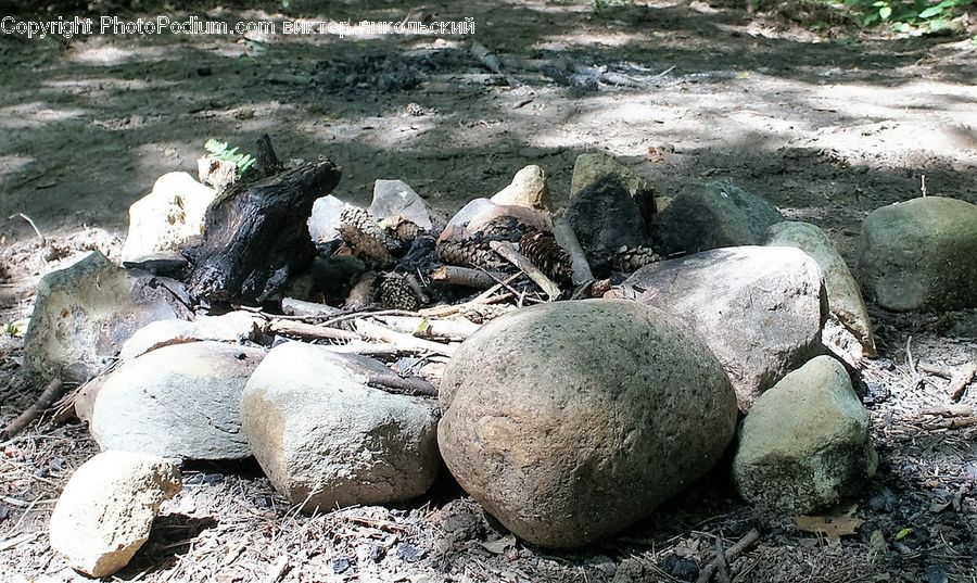 Rock, Animal, Zoo, Outdoors, Reptile, Tortoise, Turtle
