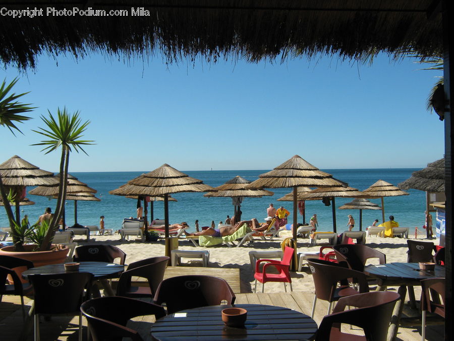 Chair, Furniture, Cafe, Cafeteria, Food Court, Hotel, Resort