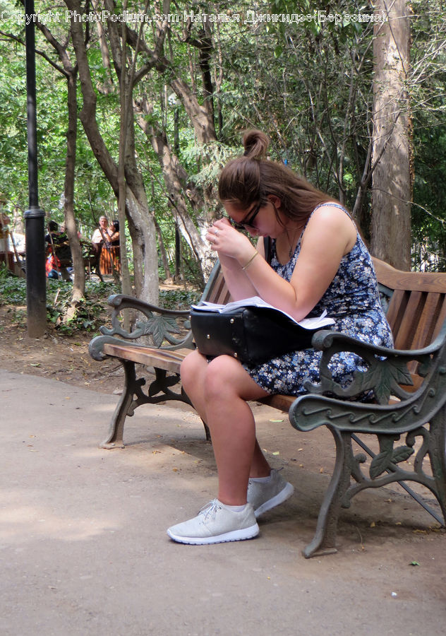 People, Person, Human, Bench, Park Bench, Heel, Forest