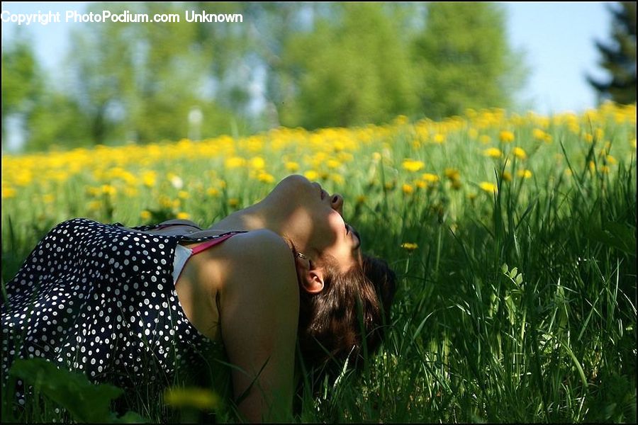 Bikini, Maillot, Swimwear, Field, Grass, Grassland, Plant