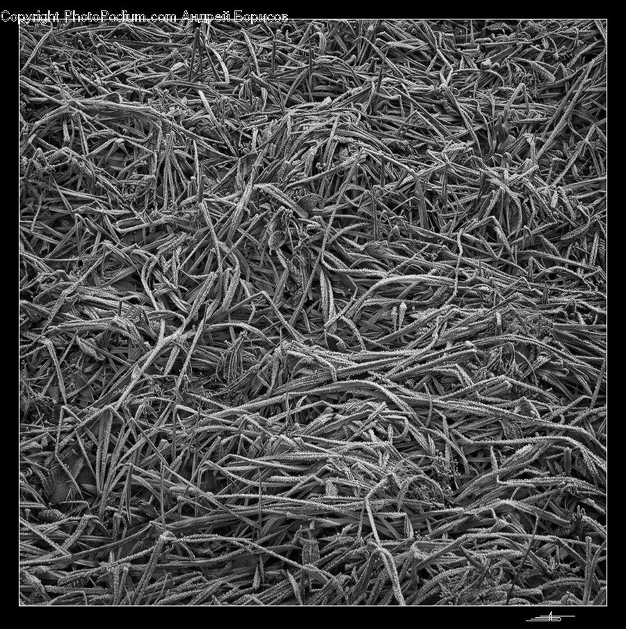 Art, Modern Art, Ground, Soil