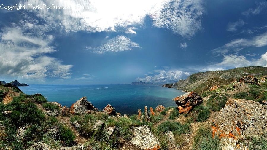 Outdoors, Wilderness, Landscape, Nature, Scenery, Plant, Vegetation