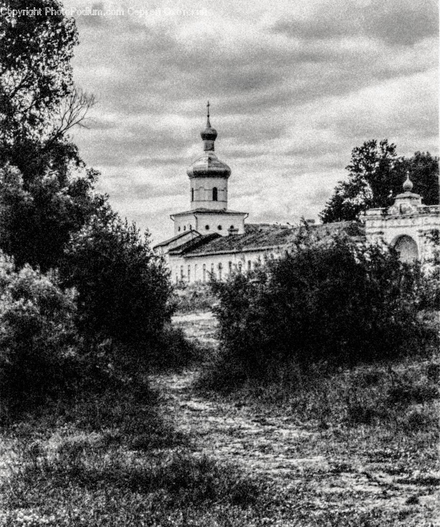 Architecture, Tower, Arch, Plant, Tree, Beacon, Building