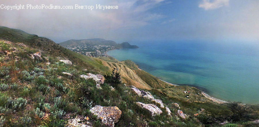 Cliff, Outdoors, Coast, Sea, Water, Bush, Plant