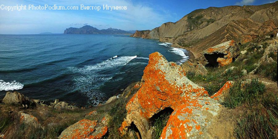 Tree Trunk, Cliff, Outdoors, Promontory, Coast, Sea, Water