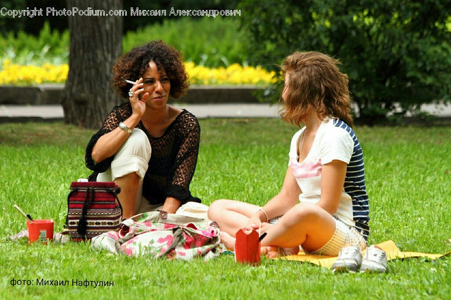 Human, People, Person, Field, Grass, Lawn, Picnic