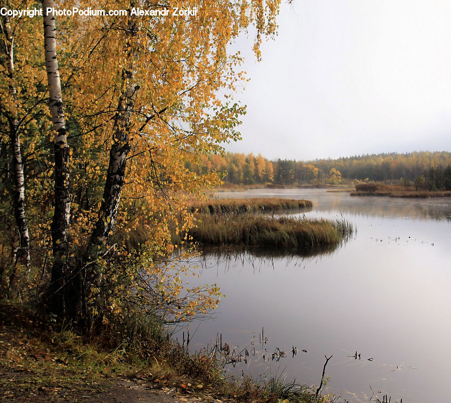 Landscape, Nature, Scenery, Outdoors, River, Water, Land