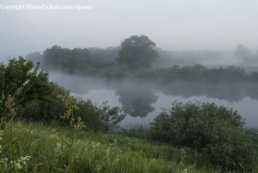 Fog, Mist, Outdoors