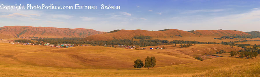 Field, Grass, Grassland, Land, Outdoors, Countryside, Hill