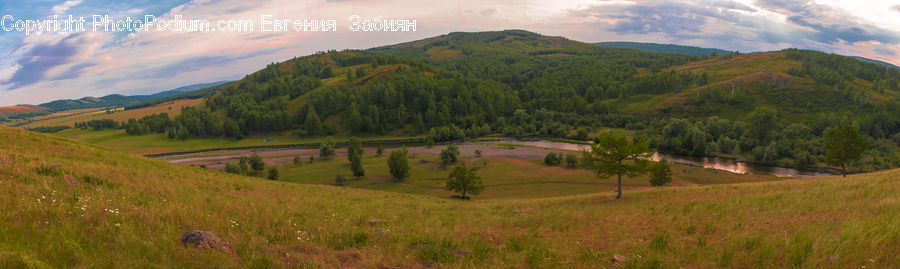 Countryside, Hill, Outdoors, Field, Grass, Grassland, Land