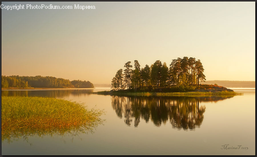 Landscape, Nature, Scenery, Field, Grass, Grassland, Plant