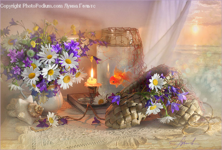 Clam, Sea Life, Seashell, Flower, Flower Arrangement, Flower Bouquet, Bling