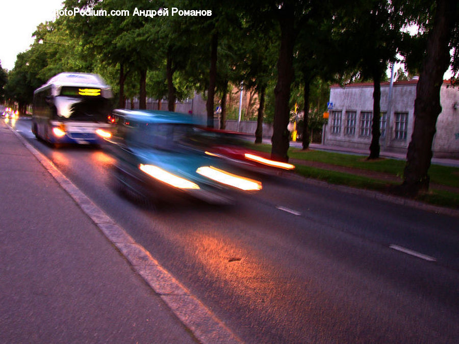 Cab, Car, Taxi, Vehicle, Plant, Potted Plant, Freeway