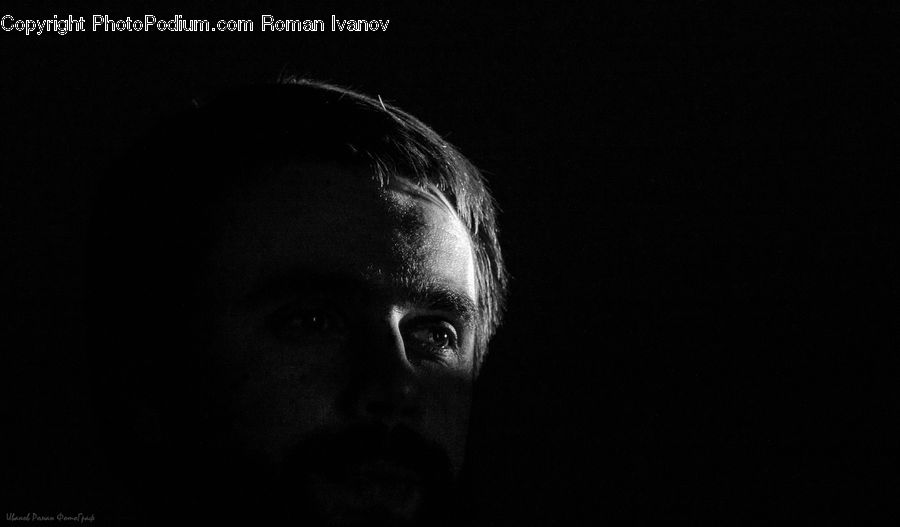 Head, Portrait, Face, Selfie, Person