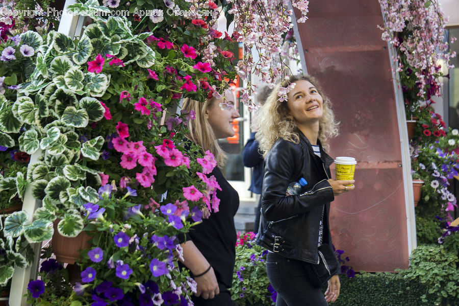 People, Person, Human, Plant, Potted Plant, Blossom, Flora