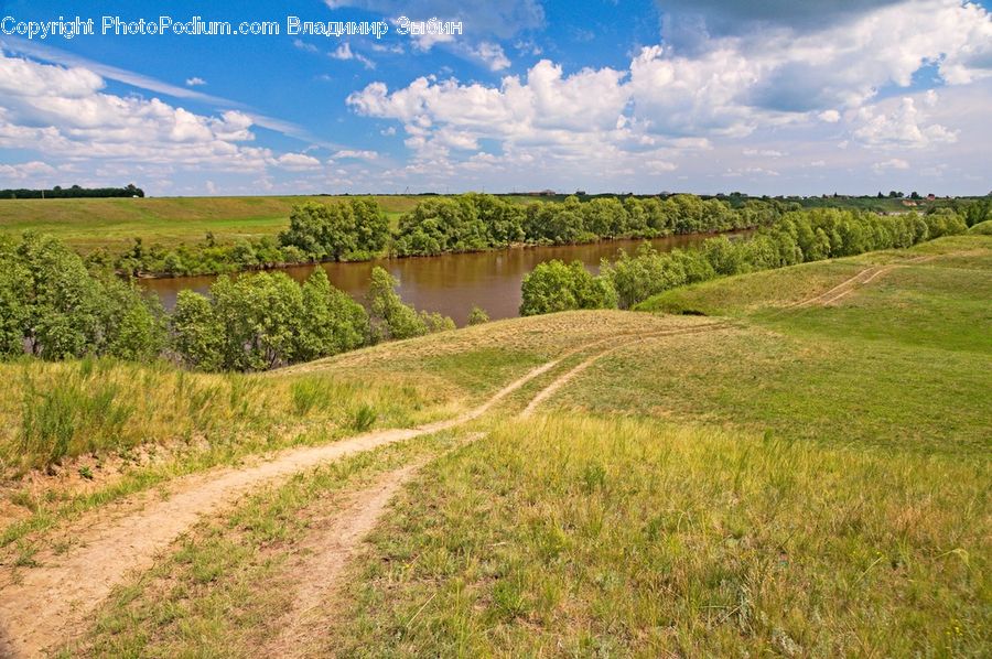 Dirt Road, Gravel, Road, Field, Grass, Grassland, Land