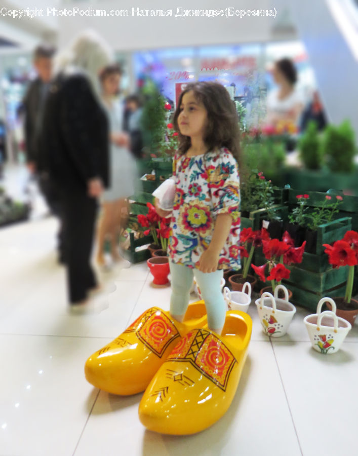 People, Person, Human, Plant, Potted Plant, Clogs, Footwear