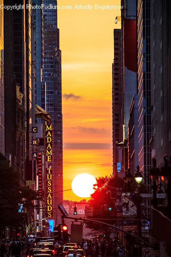 Light, Traffic Light, City, Downtown, Metropolis, Urban, Building