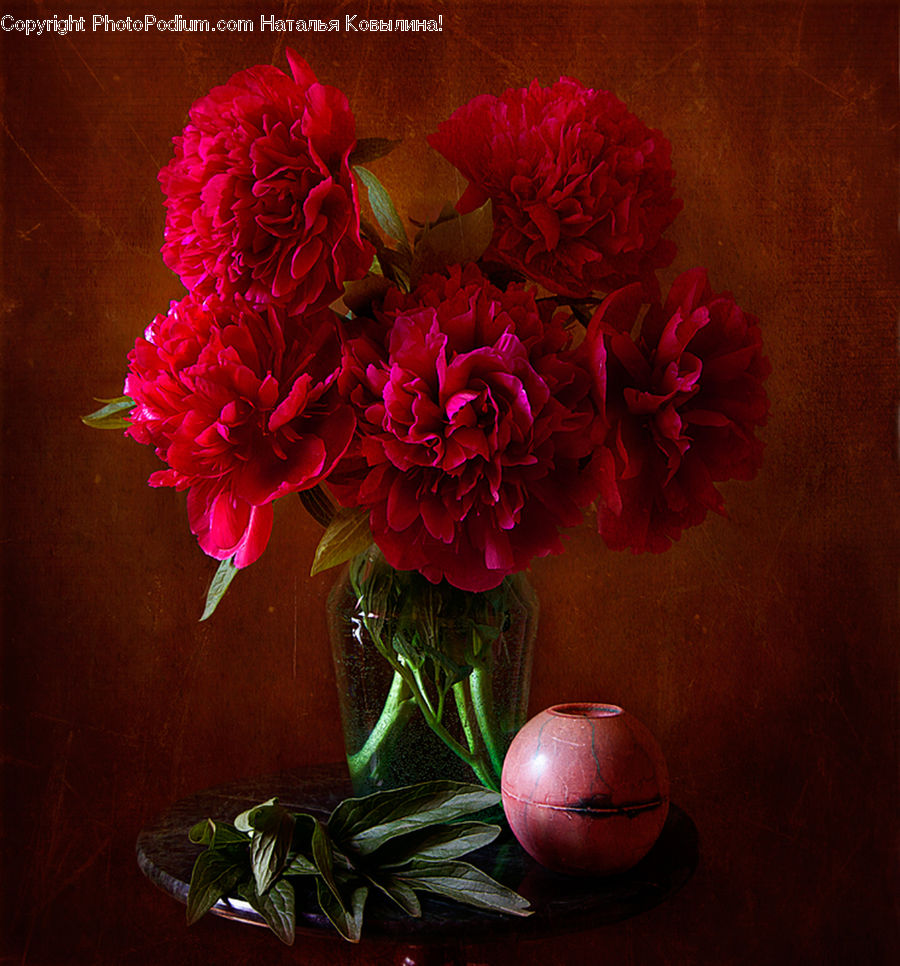 Plant, Potted Plant, Blossom, Flower, Peony, Flower Arrangement, Flower Bouquet