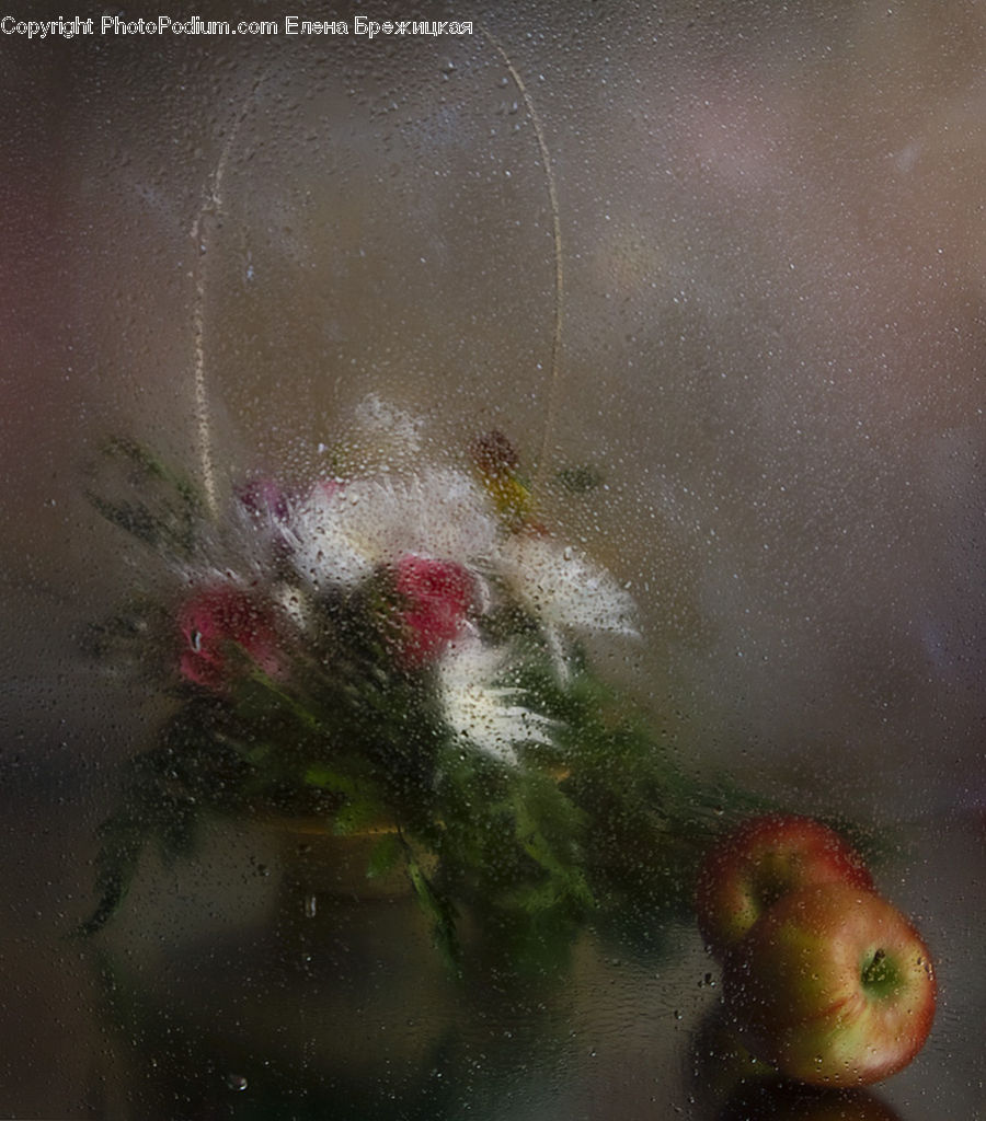 Flower Arrangement, Ikebana, Plant, Potted Plant, Vase, Floral Design, Flower