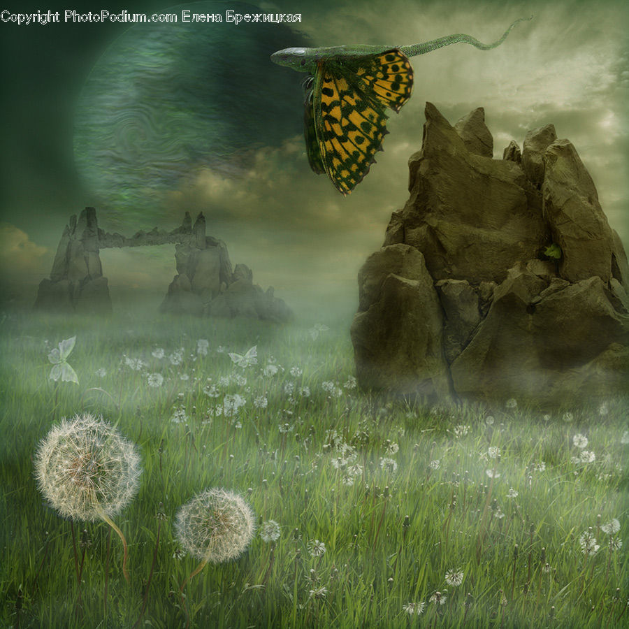 Dandelion, Flower, Plant, Field, Grass, Grassland, Blossom