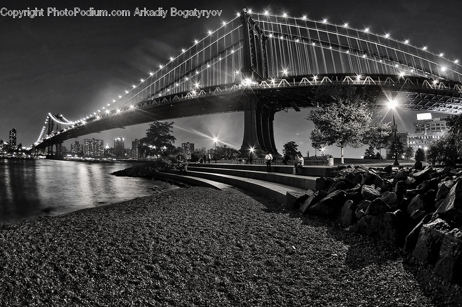 Bridge, Crowd, Plant, Tree, LED, Lighting, Spotlight