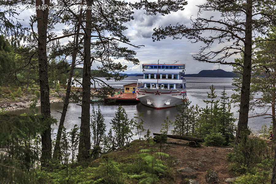 Boat, Watercraft, Cruise Ship, Ferry, Freighter, Ship, Tanker