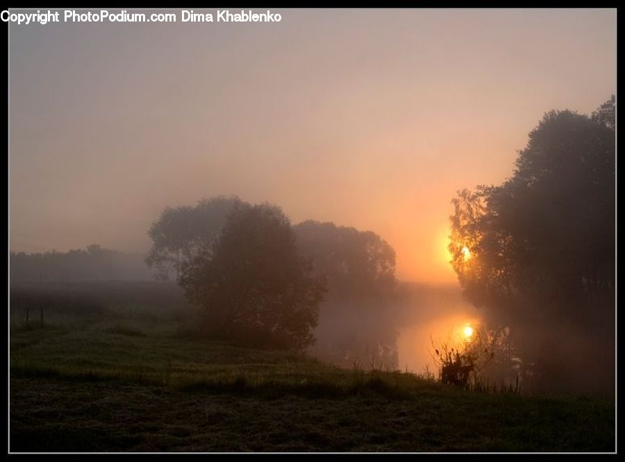 Fog, Dawn, Dusk, Sky, Sunrise, Sunset, Forest