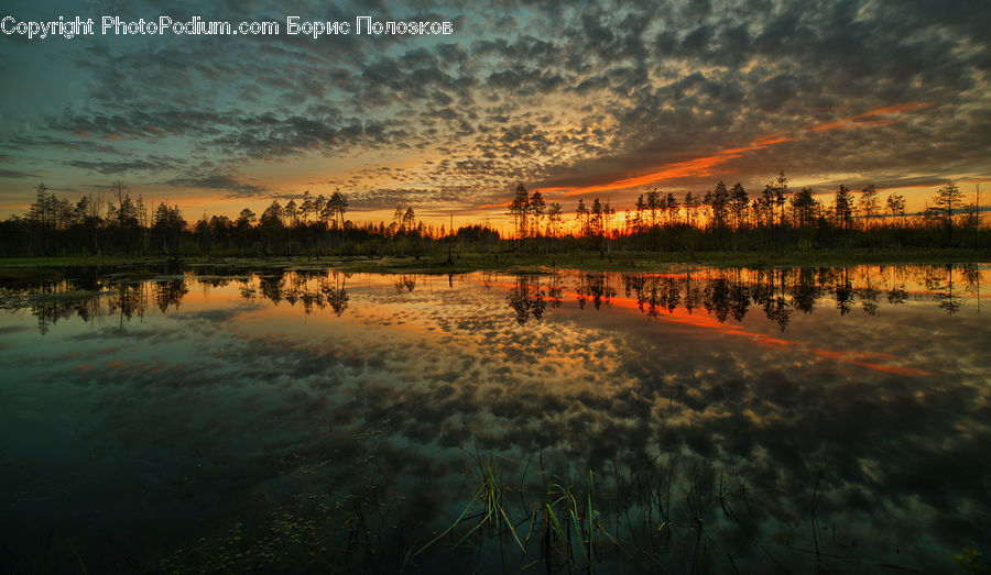 Dawn, Dusk, Red Sky, Sky, Sunrise, Sunset, Outdoors