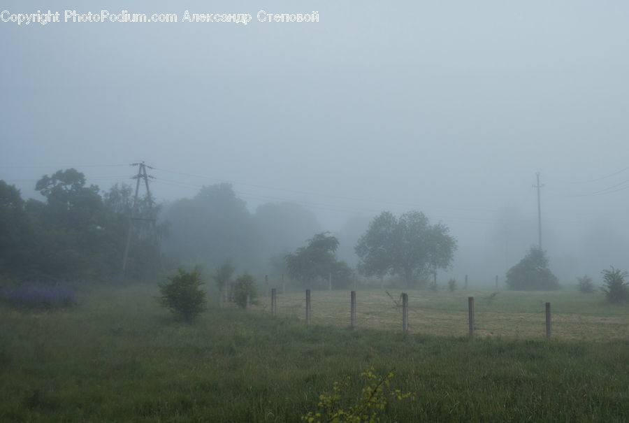Fog, Pollution, Smog, Smoke, Mist, Outdoors