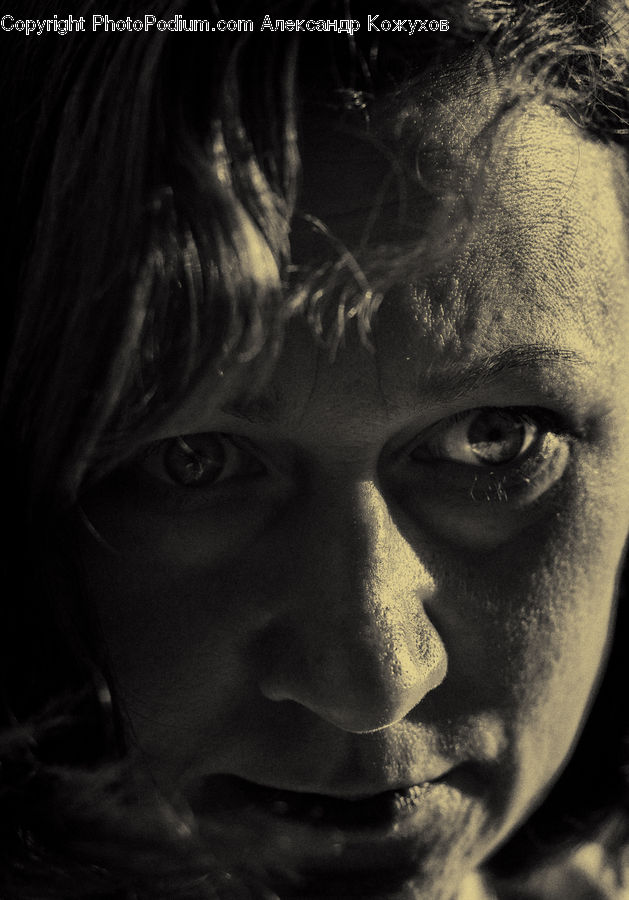 Face, Person, Portrait, Female