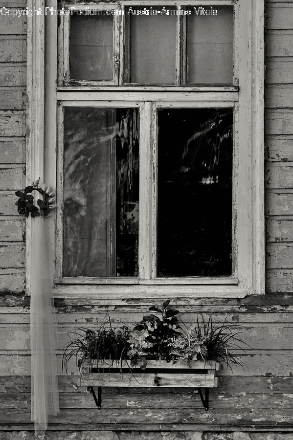 Bench, Deck, Housing, Porch, Ivy, Plant, Vine