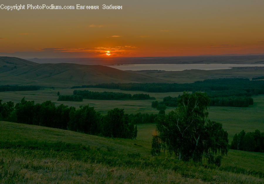 Field, Grass, Grassland, Land, Outdoors, Dawn, Dusk