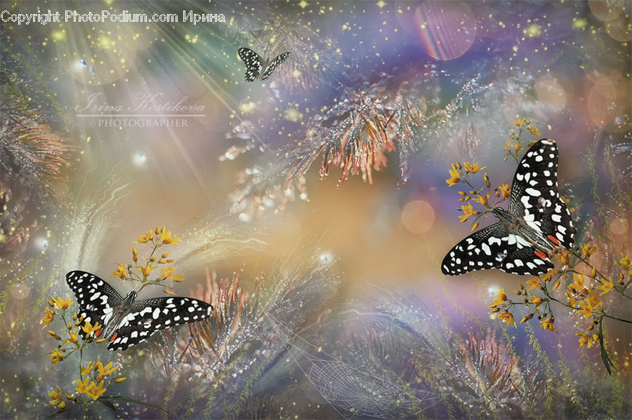 Butterfly, Insect, Invertebrate, Arachnid, Garden Spider, Spider, Art