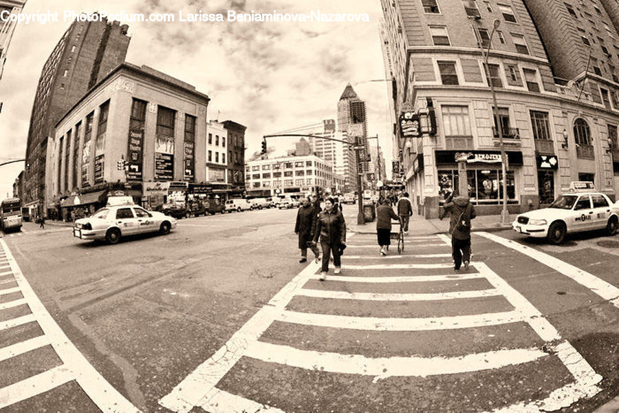Asphalt, Road, Zebra Crossing, Automobile, Car, Vehicle, Intersection
