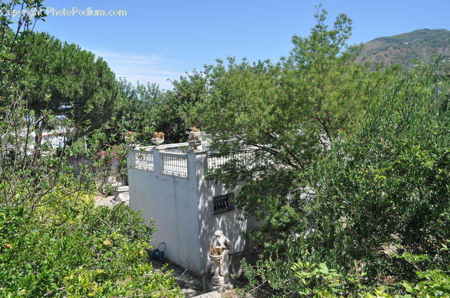 Apiary, Tomb, Backyard, Yard, Forest, Jungle, Rainforest