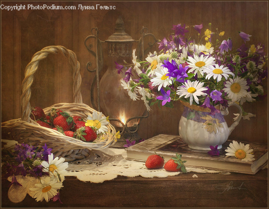 Plant, Potted Plant, Floral Design, Flower, Flower Arrangement, Flower Bouquet, Ikebana