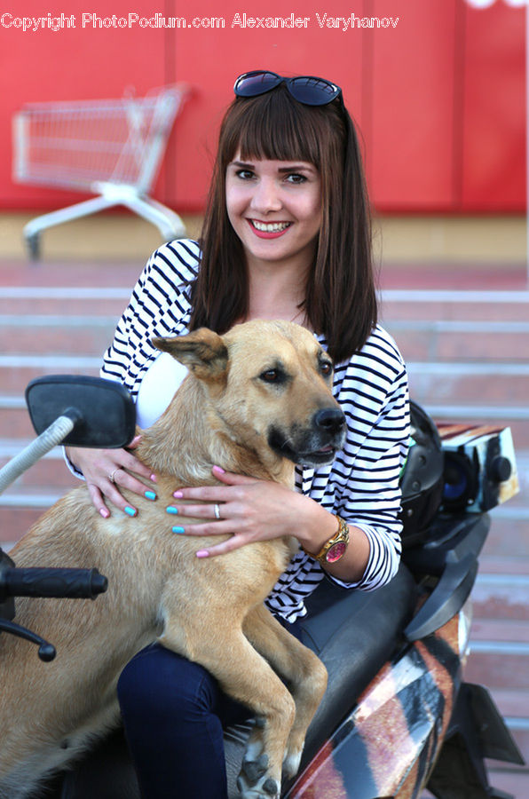 Face, Portrait, Smile, Animal, Pet, Canine, Dog