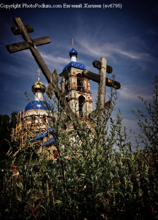 Architecture, Dome, Forest, Jungle, Bell Tower, Clock Tower, Tower