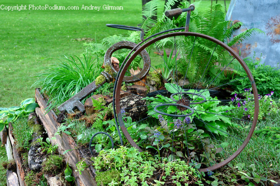 Herbal, Herbs, Plant, Planter, Backyard, Yard, Blossom