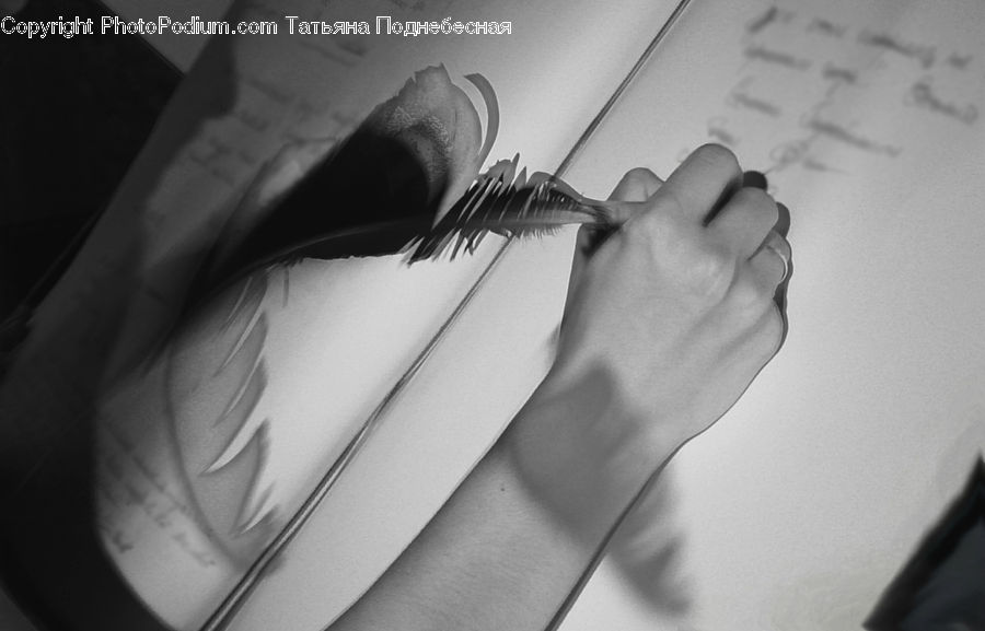 Paper, Finger, Hand