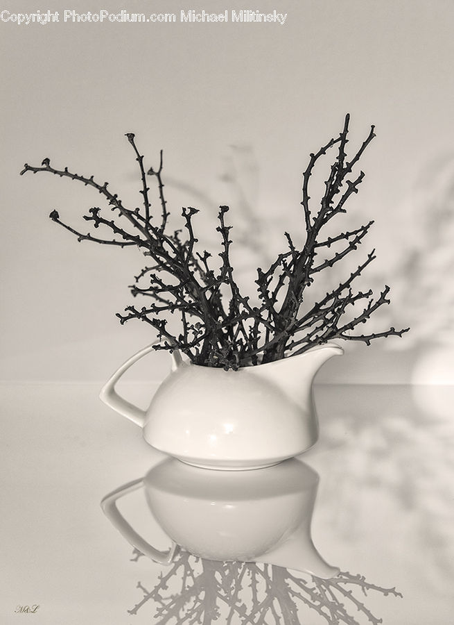 Pot, Pottery, Blossom, Flora, Flower, Plant, Coffee Cup