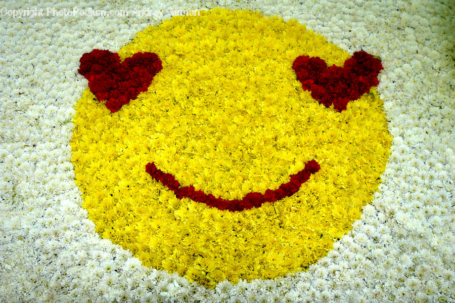 Spice, Blossom, Flora, Flower, Petal, Plant, Food