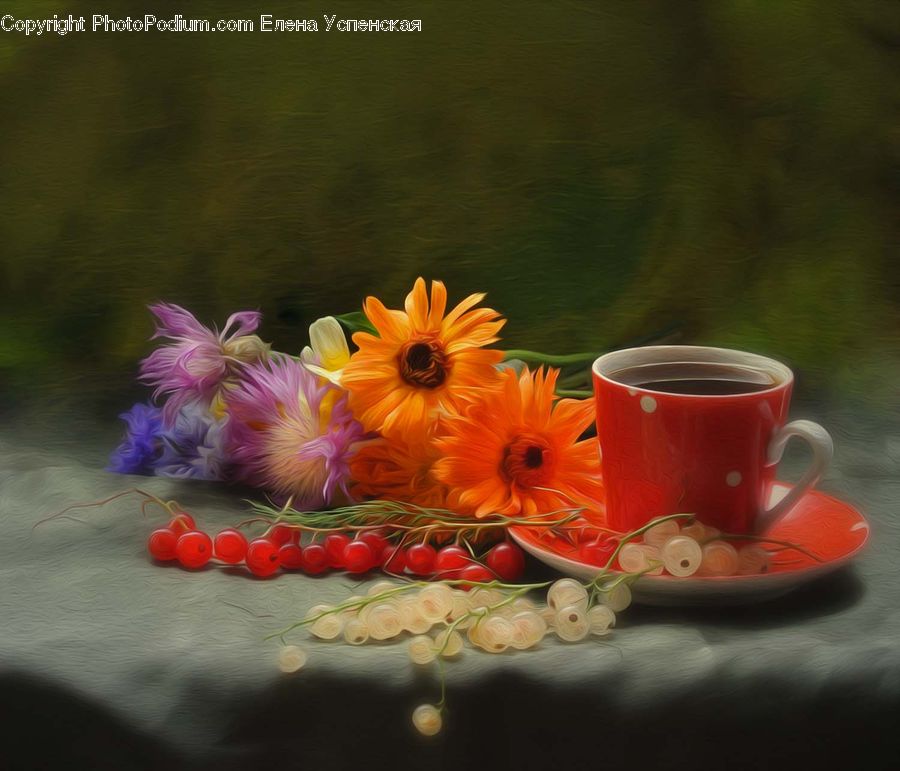 Blossom, Flora, Flower, Plant, Flower Arrangement, Flower Bouquet, Petal